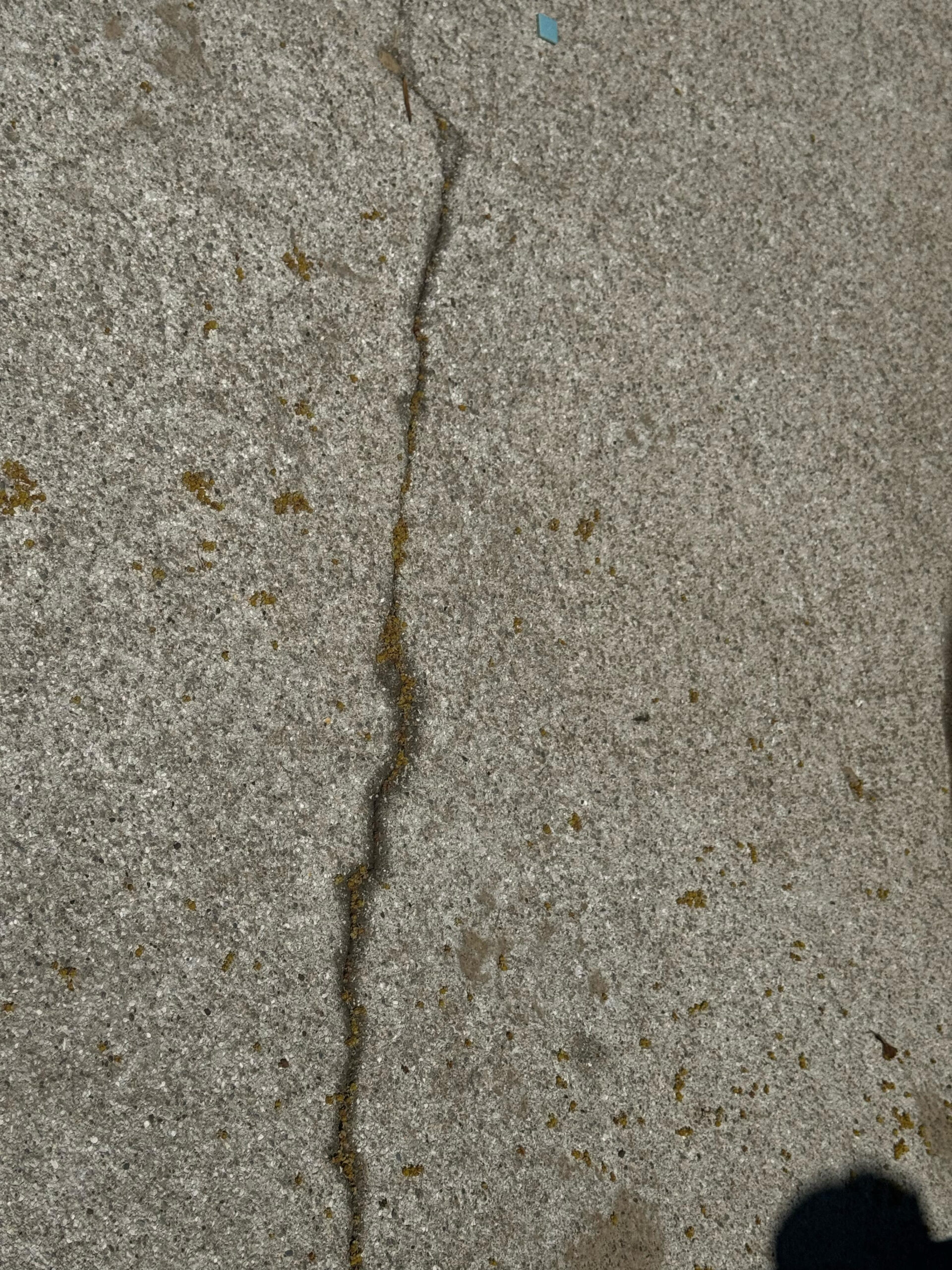 Fisuras lineales superficiales